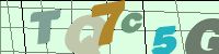 Chuck Norris has counted to infinity. Twice.