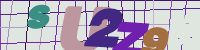 Chuck Norris has counted to infinity. Twice.