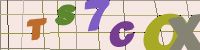 Chuck Norris has counted to infinity. Twice.