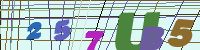 Chuck Norris has counted to infinity. Twice.