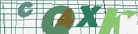 Chuck Norris has counted to infinity. Twice.