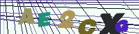 Chuck Norris has counted to infinity. Twice.